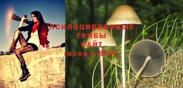соль курить ск Осинники