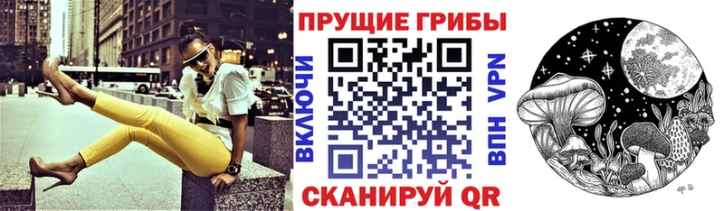 Галлюциногенные грибы мицелий  Закаменск 